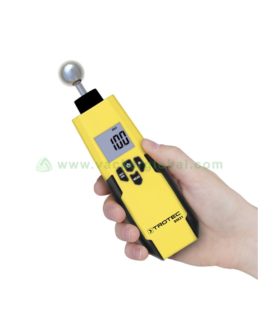 Moisture Meter BM31