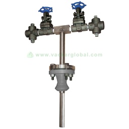 Ellipse® ASF Annular Flanged Steam Flow Meter